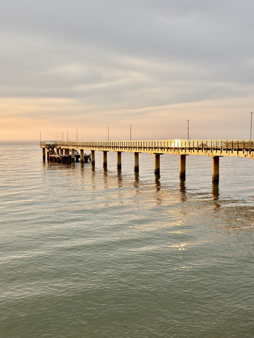 Img 0525 Zelenogradsk Kaliningrado Rusia