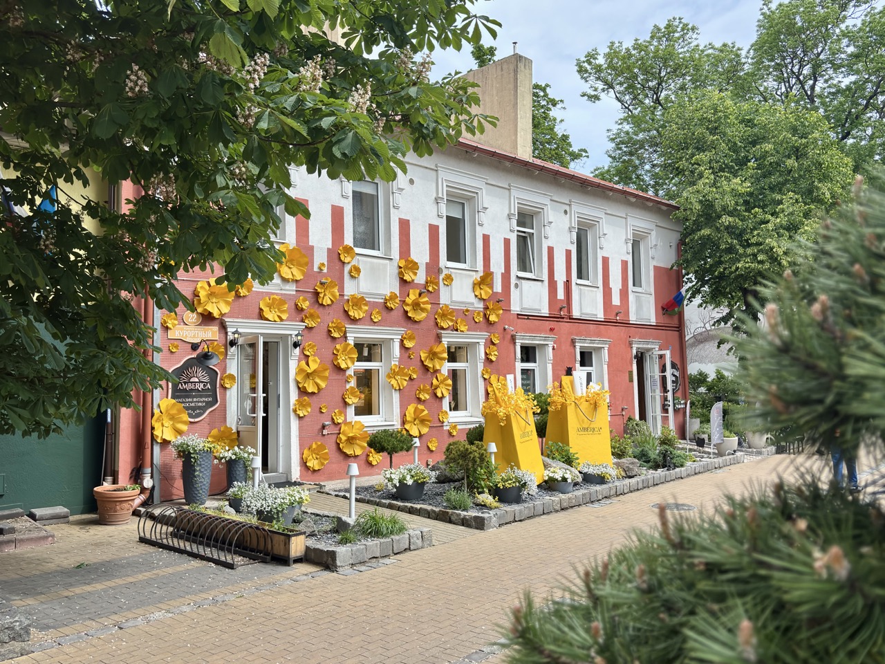 Img 0553 Zelenogradsk Kaliningrado Rusia