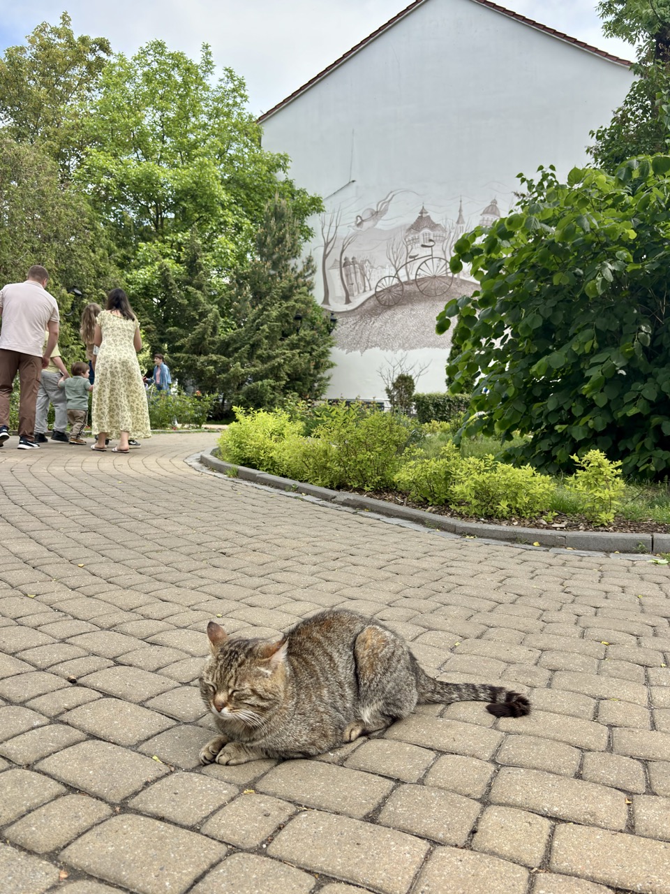 Img 0555 Zelenogradsk Kaliningrado Rusia