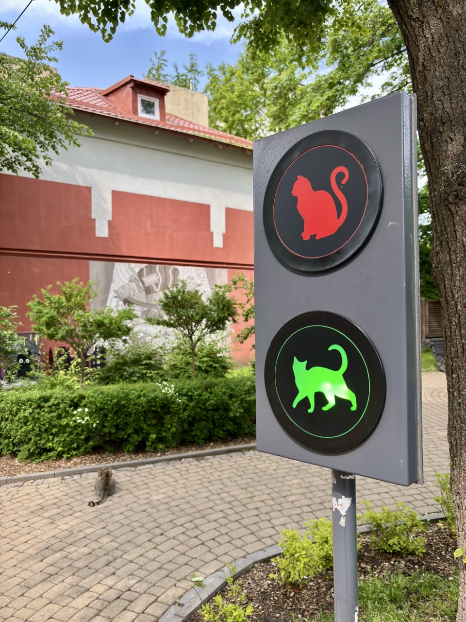 Img 0556 Zelenogradsk Kaliningrado Rusia