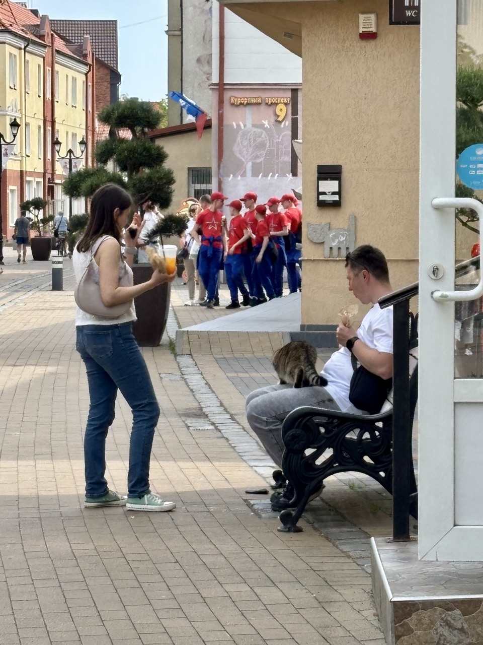 Img 0562 Zelenogradsk Kaliningrado Rusia