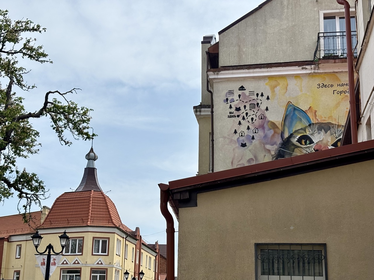 Img 0565 Zelenogradsk Kaliningrado Rusia