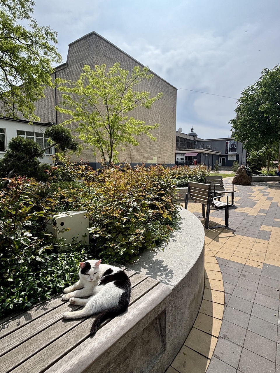 Img 0567 Zelenogradsk Kaliningrado Rusia