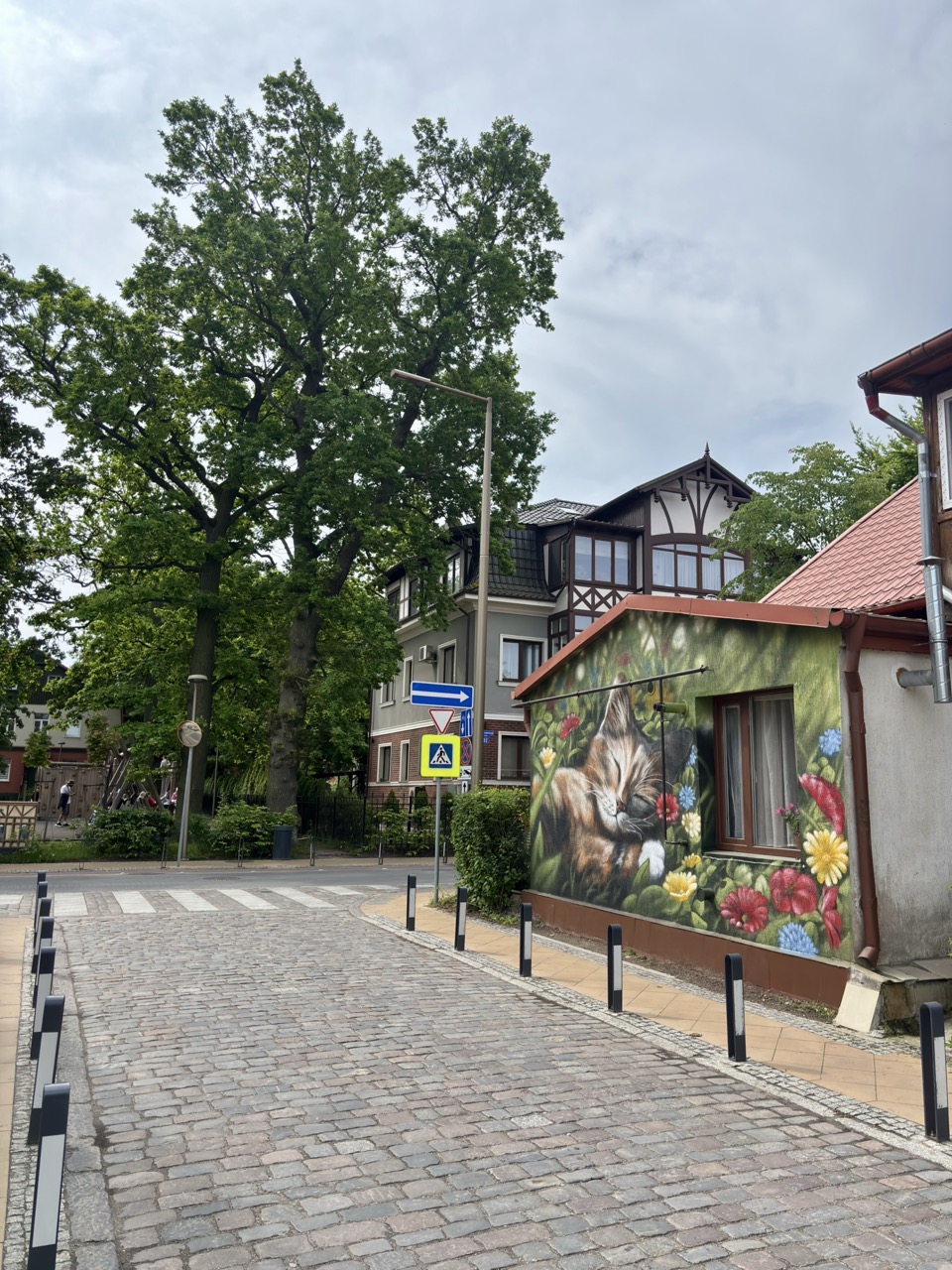 Img 0568 Zelenogradsk Kaliningrado Rusia