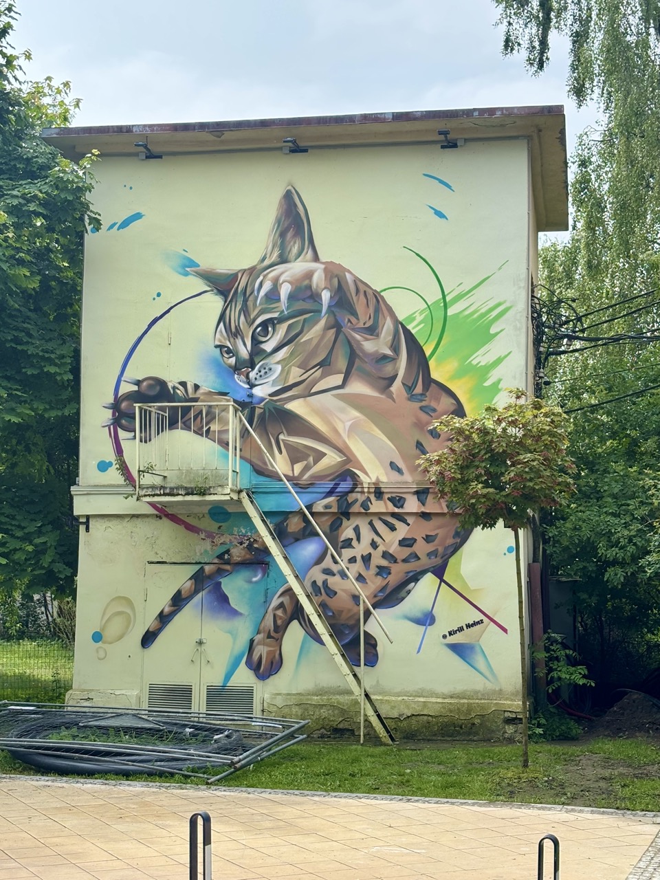 Img 0571 Zelenogradsk Kaliningrado Rusia