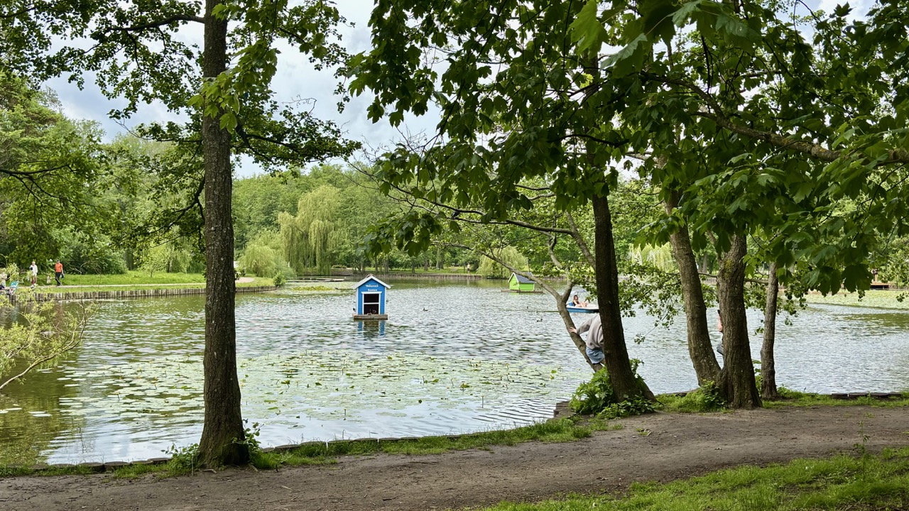 Img 0581 Zelenogradsk Kaliningrado Rusia