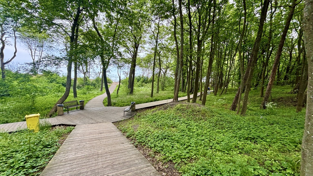 Img 0582 Zelenogradsk Kaliningrado Rusia