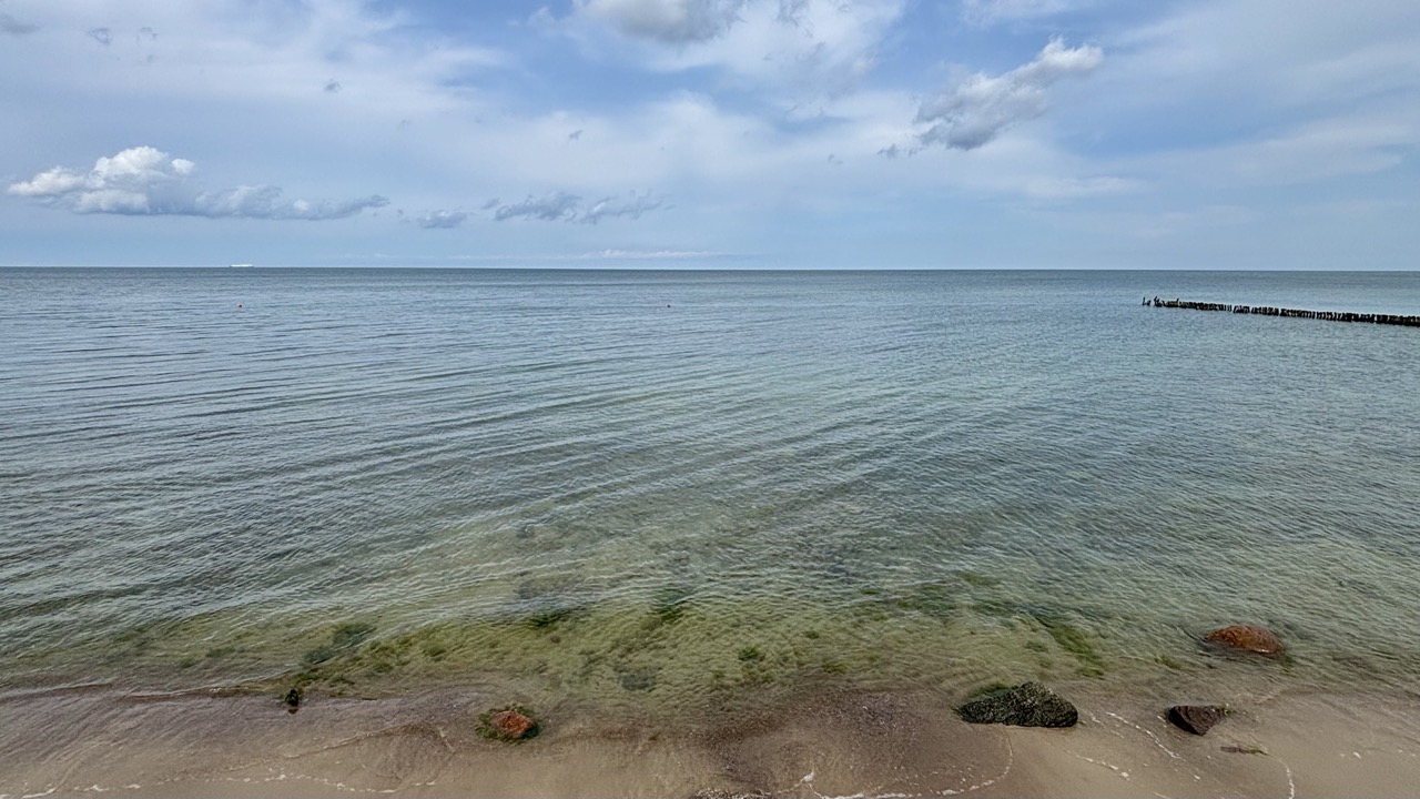 Img 0586 Zelenogradsk Kaliningrado Rusia