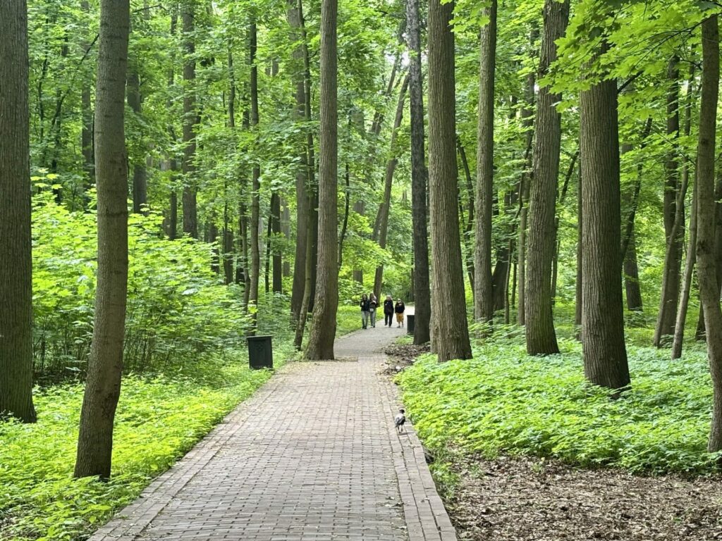 Parque Tsaritsyno Moscu 0472