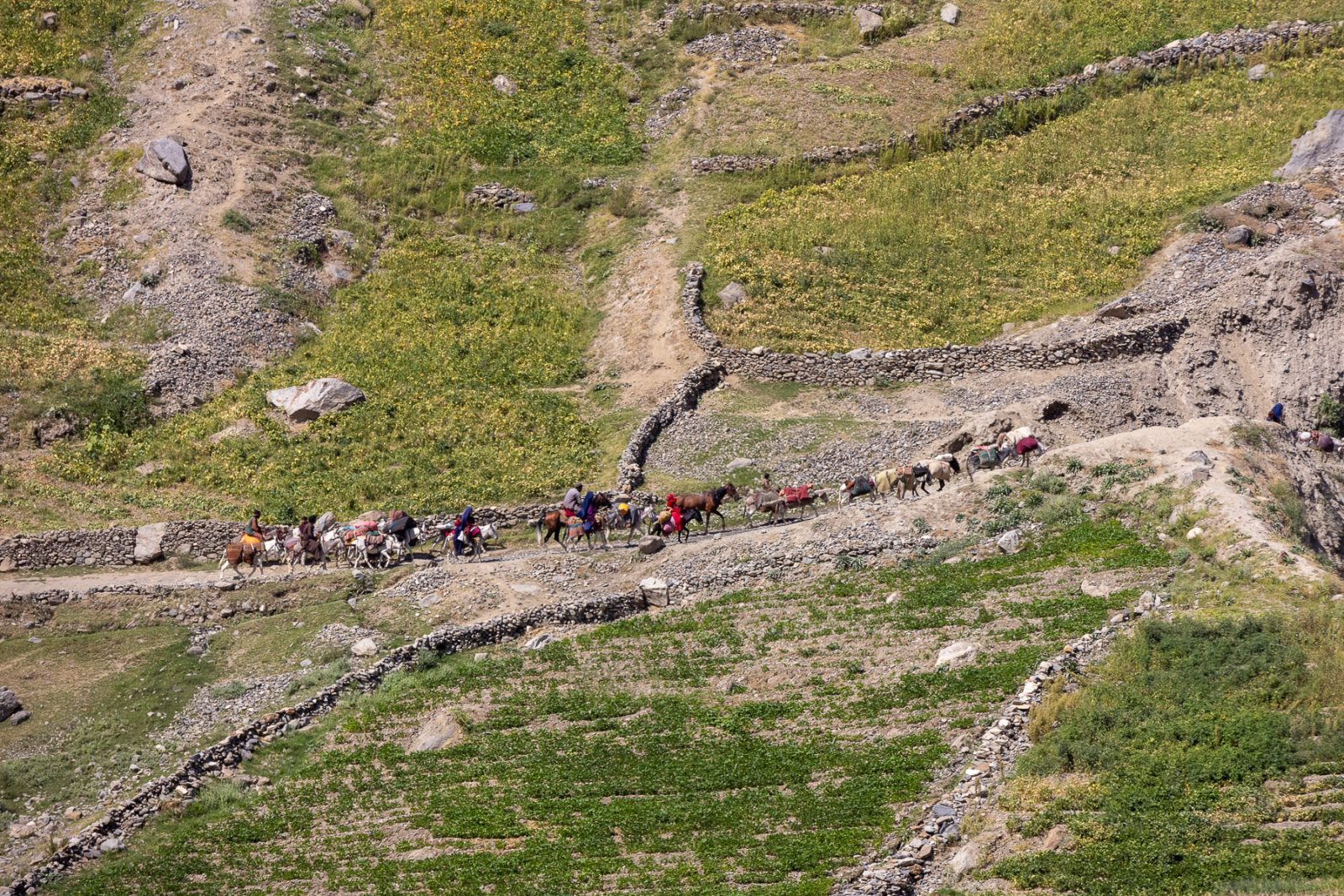 La vida en el Pamir